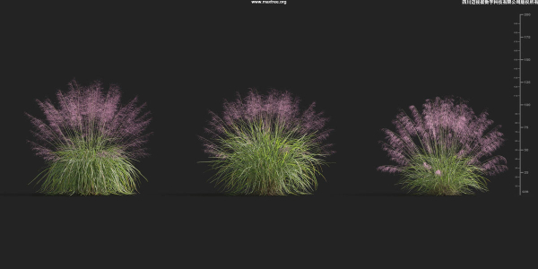 Maxtree Plant Models Vol 9 - Mesh