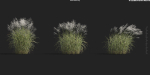 Maxtree Plant Models Vol 9 - Mesh
