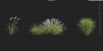 Maxtree Plant Models Vol 9 - Mesh