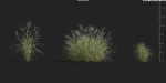 Maxtree Plant Models Vol 9 - Mesh
