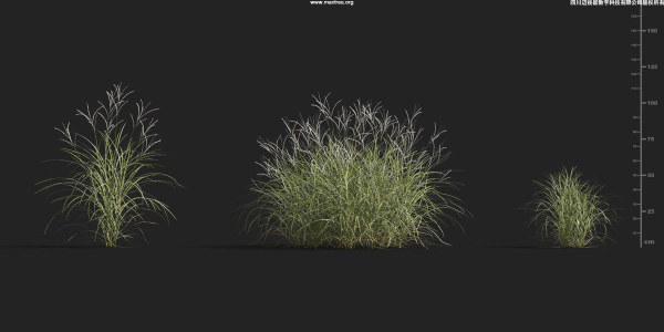 Maxtree Plant Models Vol 9 - Mesh