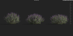 Maxtree Plant Models Vol 9 - Mesh