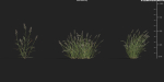 Maxtree Plant Models Vol 9 - Mesh