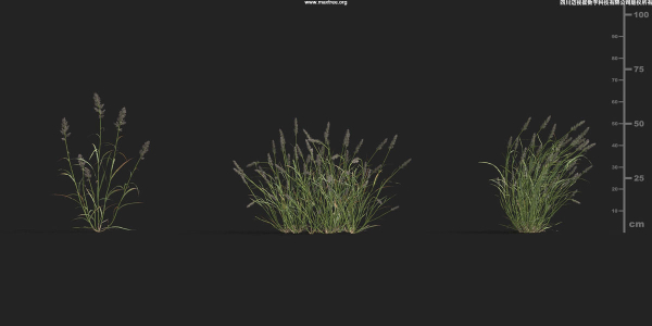 Maxtree Plant Models Vol 9 - Mesh