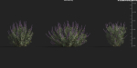 Maxtree Plant Models Vol 9 - Mesh