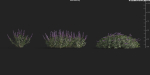 Maxtree Plant Models Vol 9 - Mesh