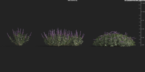 Maxtree Plant Models Vol 9 - Mesh