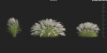 Maxtree Plant Models Vol 9 - Mesh