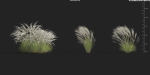 Maxtree Plant Models Vol 9 - Mesh