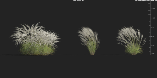 Maxtree Plant Models Vol 9 - Mesh