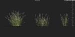 Maxtree Plant Models Vol 9 - Mesh