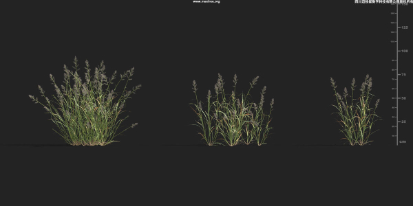 Maxtree Plant Models Vol 9 - Mesh