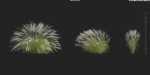 Maxtree Plant Models Vol 9 - Mesh