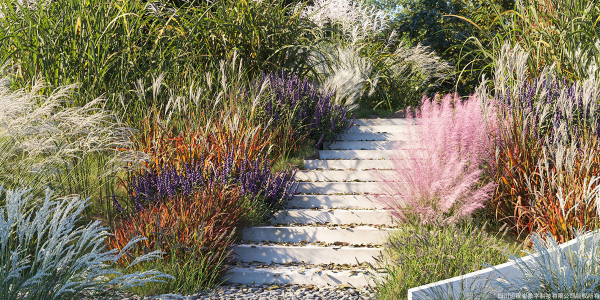 Maxtree Plant Models Vol 9 - Mesh