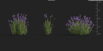 Maxtree Plant Models Vol 9 - Mesh