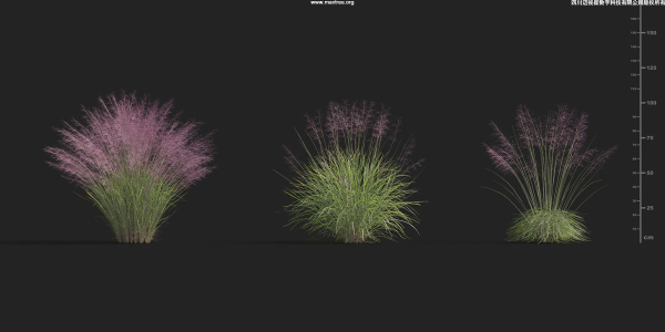 Maxtree Plant Models Vol 9 - Mesh