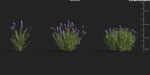 Maxtree Plant Models Vol 9 - Mesh