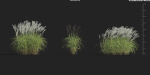 Maxtree Plant Models Vol 9 - Mesh