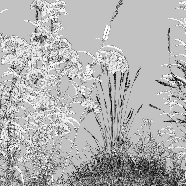 Meadow 10