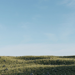 Meadow Grass 02