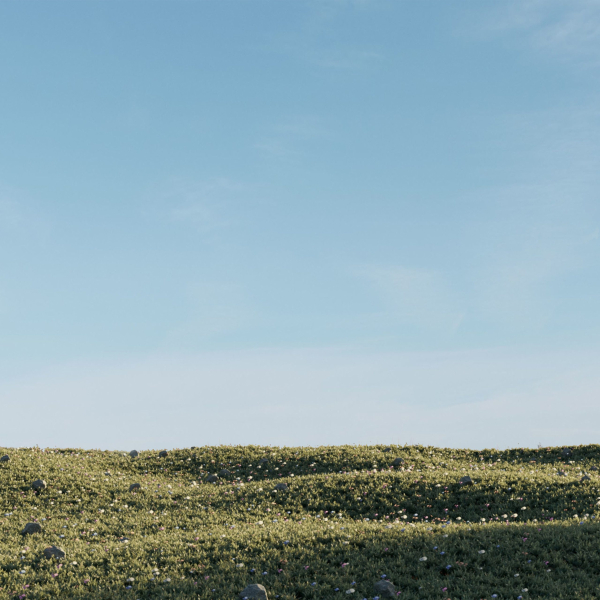 Meadow Grass 02