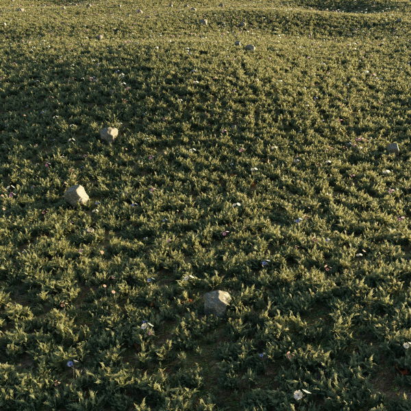 Meadow Grass 02
