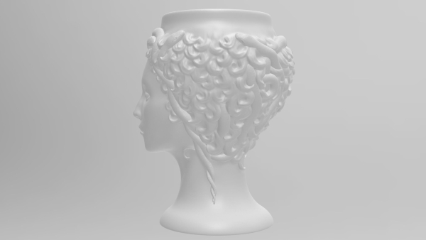 Medusa Gorgon vase 3d print model