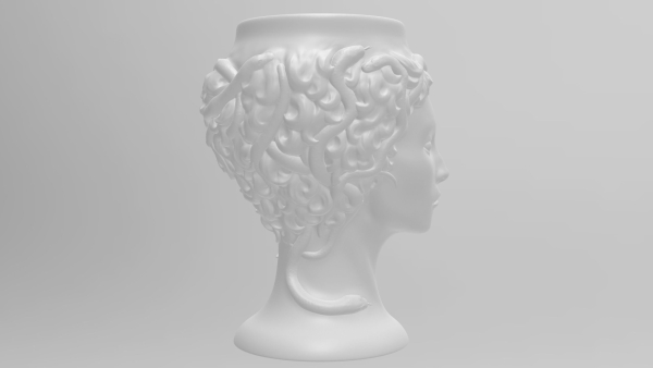 Medusa Gorgon vase 3d print model