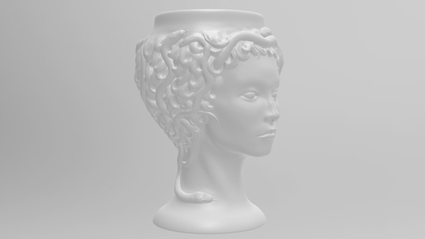 Medusa Gorgon vase 3d print model