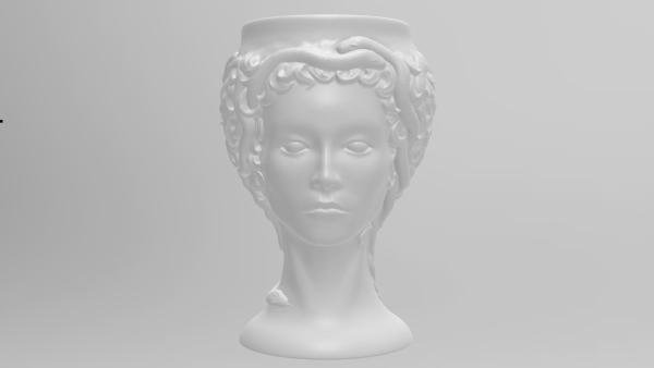 Medusa Gorgon vase 3d print model