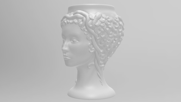 Medusa Gorgon vase 3d print model