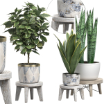 MEGA FLOWER PACK 3