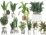 MEGA FLOWER PACK 3