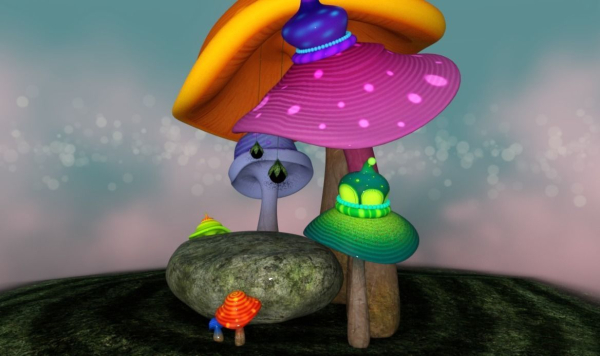 mistical Mushroom Rock