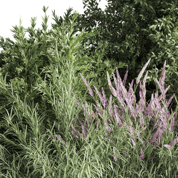 mixed plant and bush 01