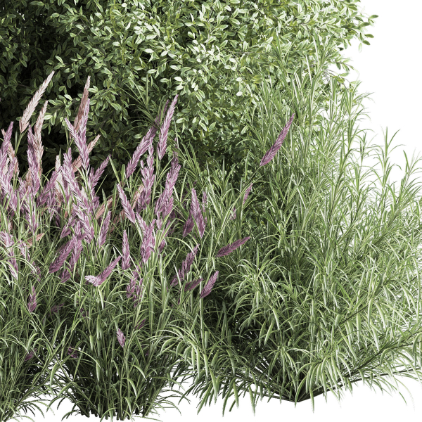 mixed plant and bush 01