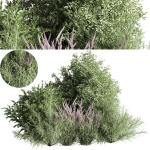 mixed plant and bush 01