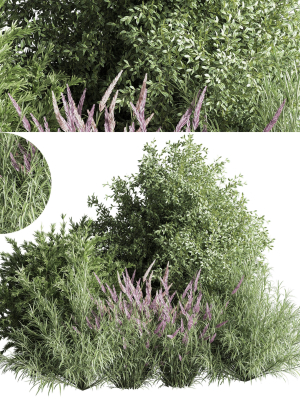 mixed plant and bush 01