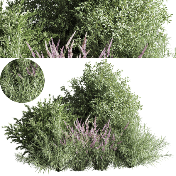 mixed plant and bush 01