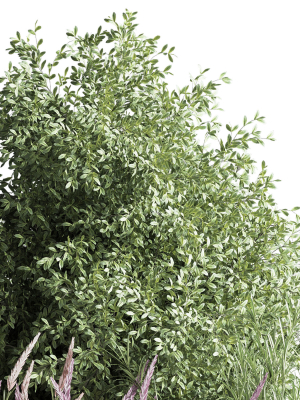mixed-plant-and-bush-01-3d-model-a4334e2c52