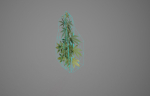 Mobile Optimized Cannabis
