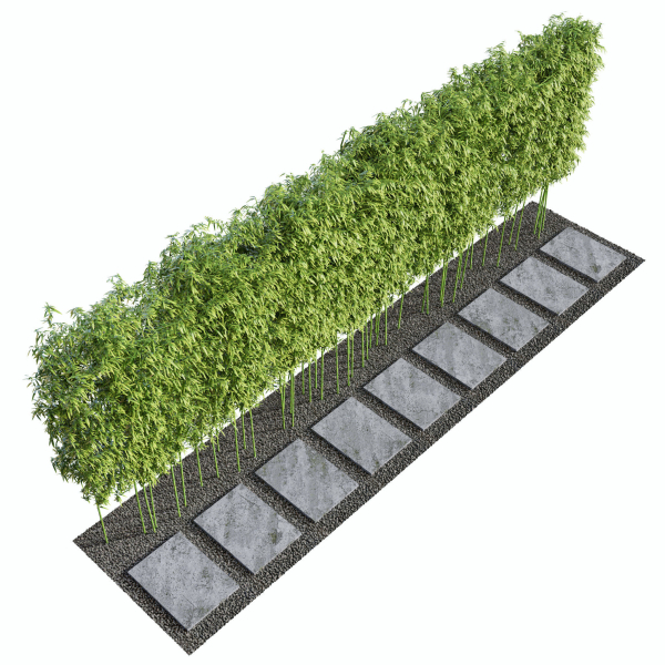 Modern Courtyard 03 - PBR - 4k - Bamboo Path