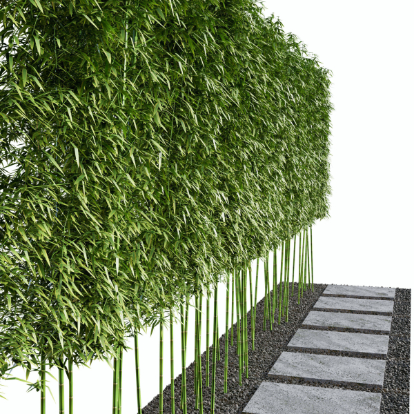 Modern Courtyard 03 - PBR - 4k - Bamboo Path