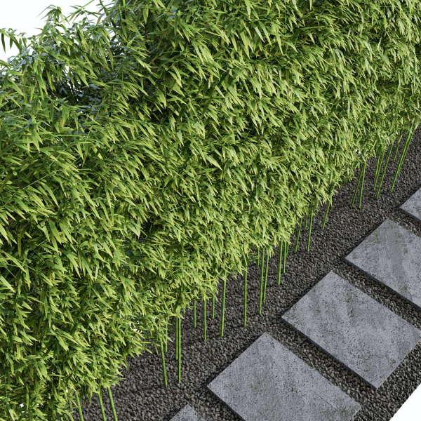 Modern Courtyard 03 - PBR - 4k - Bamboo Path