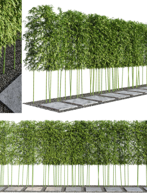 modern-courtyard-03-pbr-4k-bamboo-path-3d-model-825cfeadfd