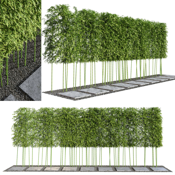 Modern Courtyard 03 - PBR - 4k - Bamboo Path