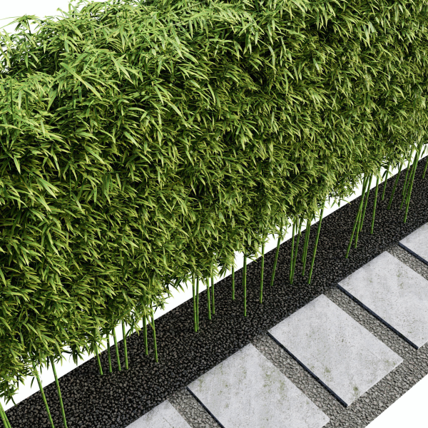 Modern Courtyard 03 - PBR - 4k - Bamboo Path