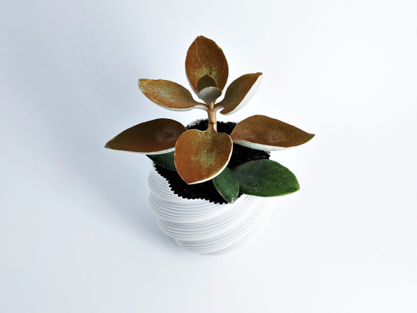 Modern PLANT POT Diluvian for succult planters to big pots