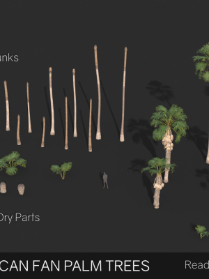 modular-mexican-fan-palm-tree-washingtonia-robusta-3d-model-low-poly-animated-obj-fbx-blend-dae