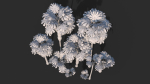 Modular Mexican Fan Palm Tree - Washingtonia Robusta